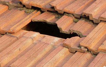 roof repair Auchencairn